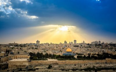 GENESIS Friends for Life Israel Names Dr. Lior Aviman Chief Executive Officer